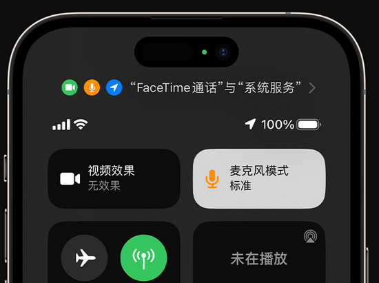 嘉陵苹果授权维修网点分享iPhone在通话时让你的声音更清晰 