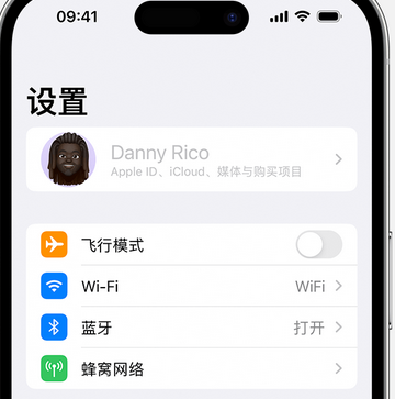 嘉陵appleID维修服务iPhone设置中Apple ID显示为灰色无法使用 