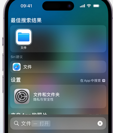 嘉陵apple维修中心分享iPhone文件应用中存储和找到下载文件 