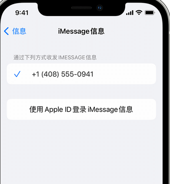 嘉陵apple维修iPhone上无法正常发送iMessage信息