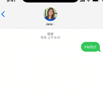 嘉陵apple维修iPhone上无法正常发送iMessage信息