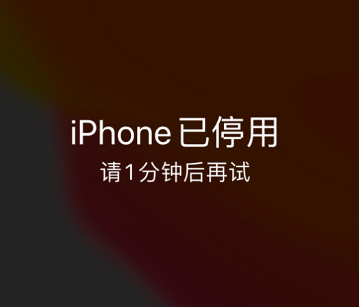 嘉陵苹果手机维修分享:iPhone 显示“不可用”或“已停用”怎么办？还能保留数据吗？ 