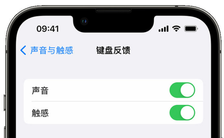 嘉陵苹果手机维修分享iPhone 14触感键盘使用方法 