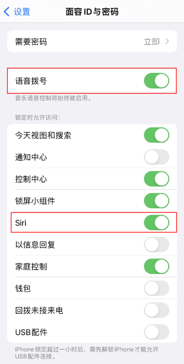 嘉陵苹果维修网点分享不解锁 iPhone 的情况下通过 Siri 拨打电话的方法 