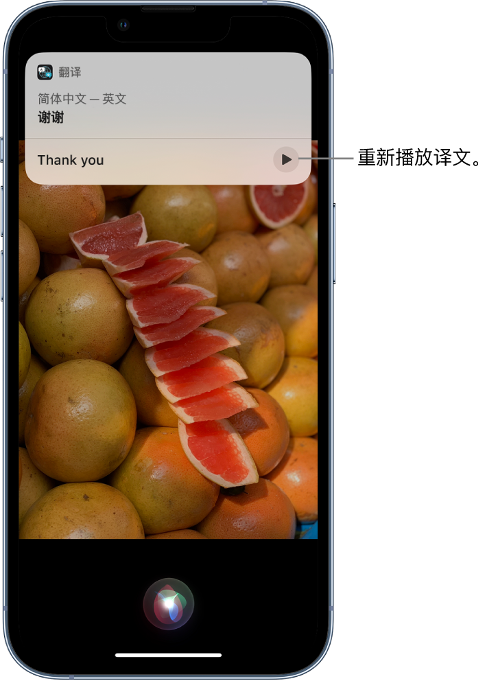 嘉陵苹果14维修分享 iPhone 14 机型中使用 Siri：了解 Siri 能帮你做什么 