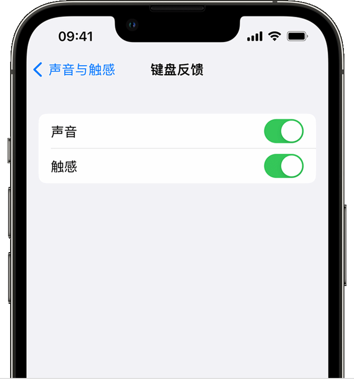 嘉陵苹果14维修分享iPhone 14 系列机型如何开启键盘声音或触感反馈 