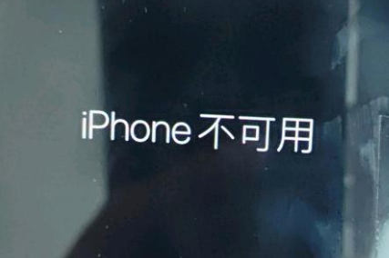 嘉陵苹果服务网点分享锁屏界面显示“iPhone 不可用”如何解决 