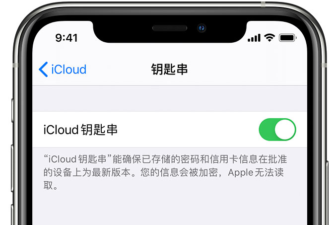 嘉陵苹果手机维修分享在 iPhone 上开启 iCloud 钥匙串之后会储存哪些信息 