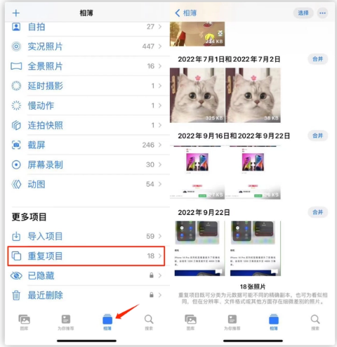 嘉陵苹果手机维修分享iOS 16 中相册重复项目功能使用方法 