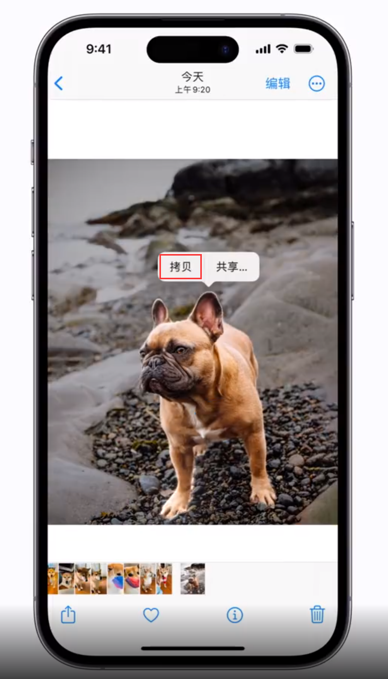 嘉陵苹果手机维修分享 iOS 16 自带一键抠图功能 