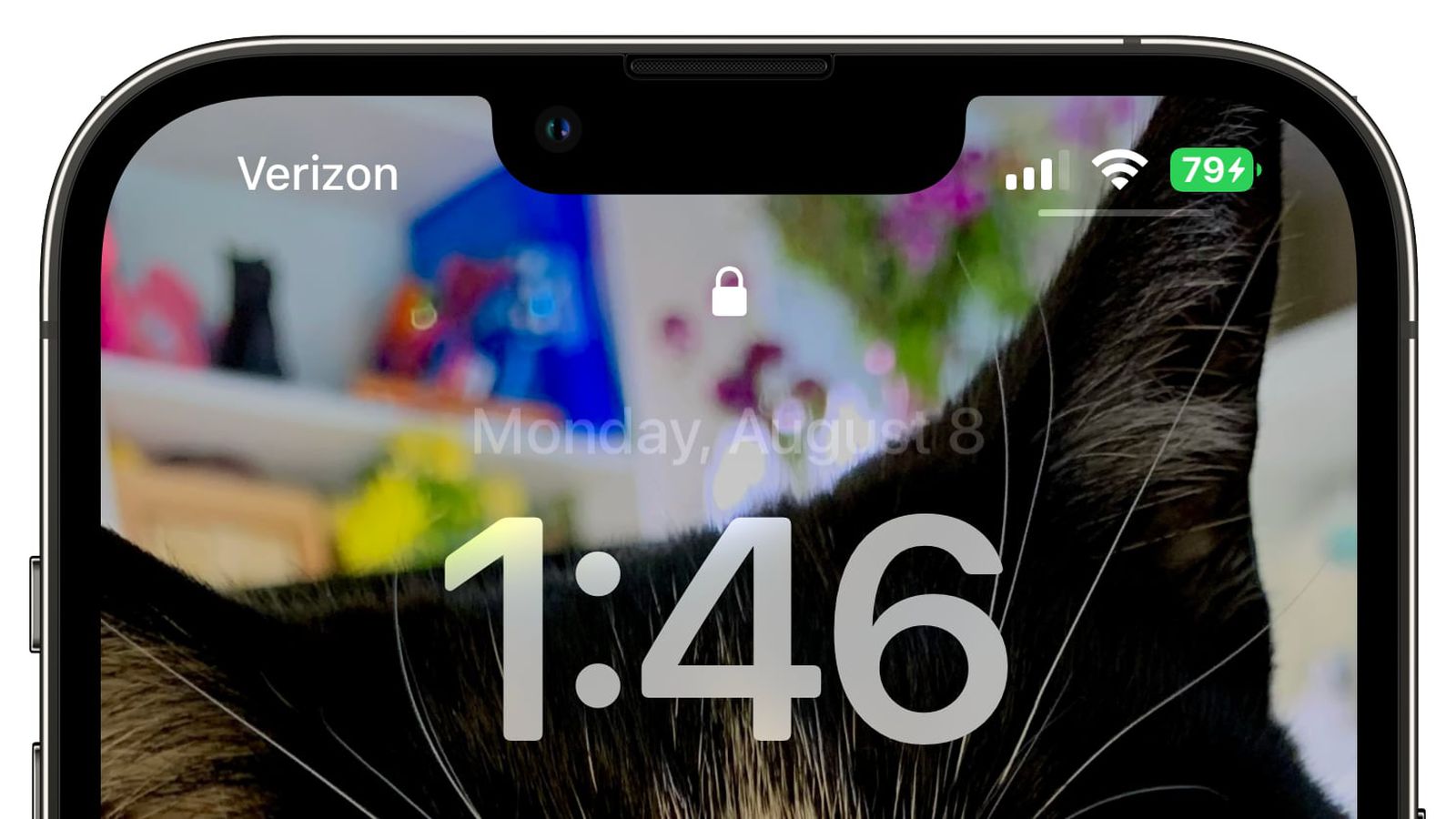 嘉陵苹果手机维修分享iOS 16 beta 5 支持状态栏显示电池百分比，如何开启？支持哪些机型 