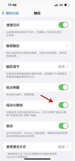 嘉陵苹果手机维修分享iPhone手机如何设置摇一摇删除文字 