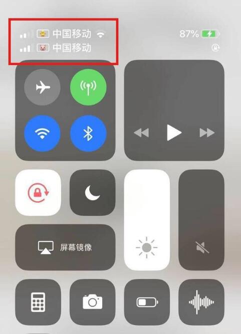 嘉陵苹果手机维修分享为 iPhone 12 双卡设置标签 