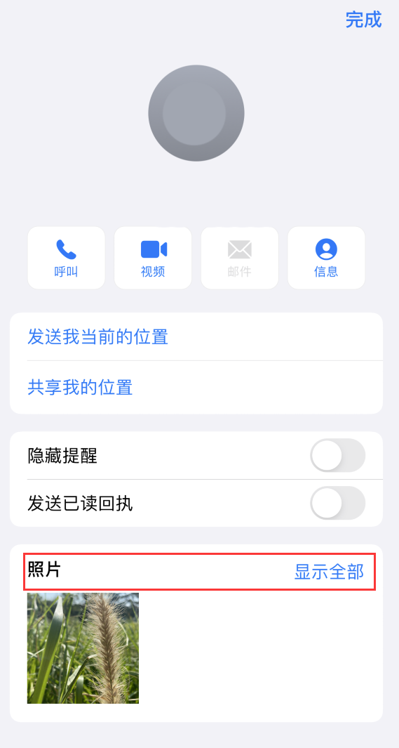 嘉陵苹果手机维修分享如何快速查找 iMessage 信息中的图片等附件 